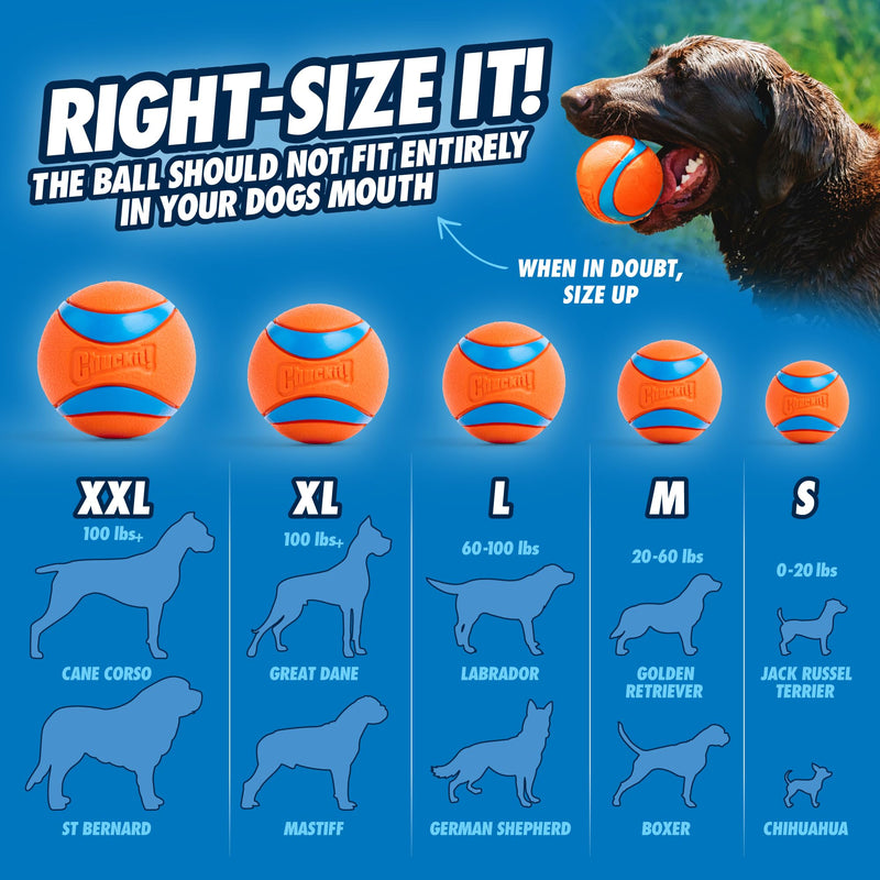 Chuckit! Junior 18" Dog Ball Launcher – Medium, For 20–60 lb Dogs, Made in USA - Mingle & Moa