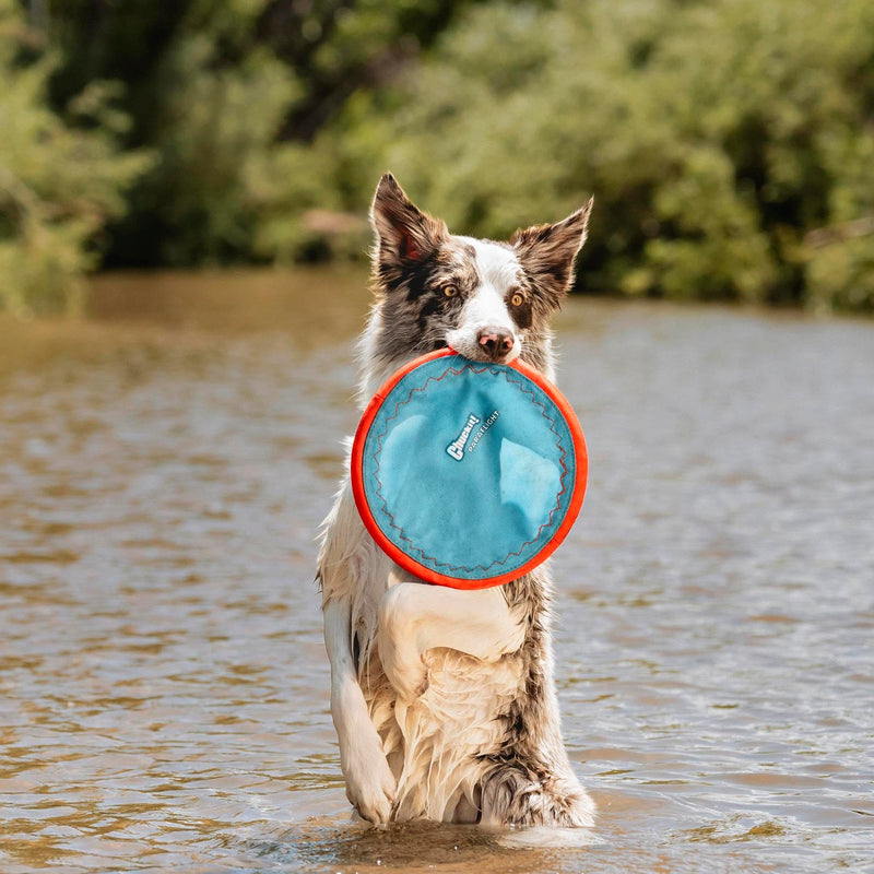 Chuckit! Paraflight Disc Large – 1 Pack - Mingle & Moa