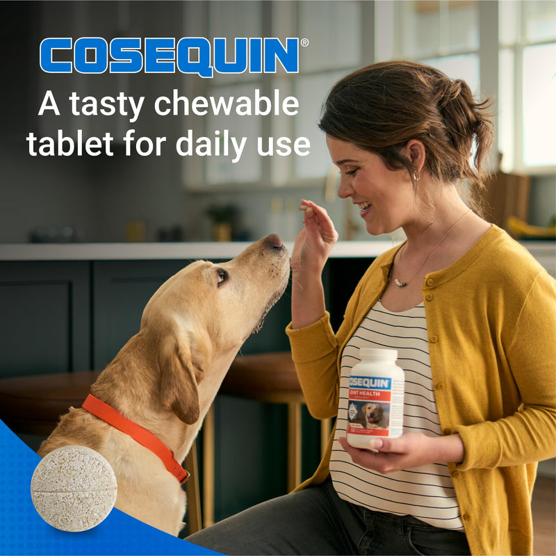 Nutramax Cosequin Max Strength – Joint Supplement for Dogs with Glucosamine, Chondroitin & MSM, 60 Chewable Tablets. - Mingle & Moa
