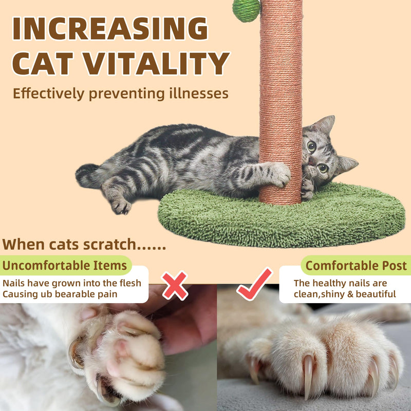 Meowoou 33-inch Green Palm Decor Cat Scratching Post - Mingle & Moa