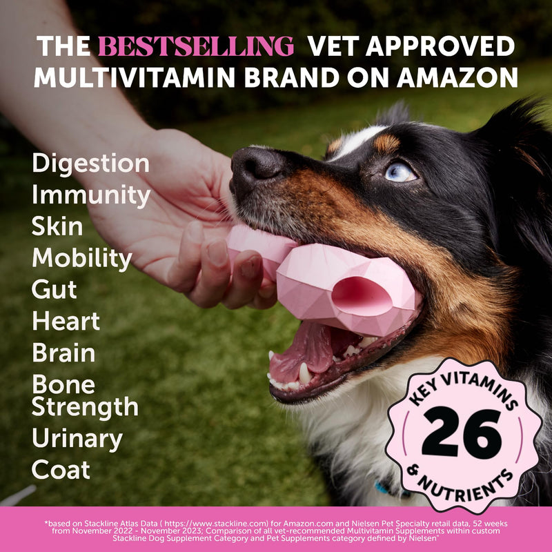 Multivitamin Dog Supplement with Glucosamine, Probiotics, and Omega Fish Oil for Skin & Coat – Chicken Flavor, 90 Count. - Mingle & Moa