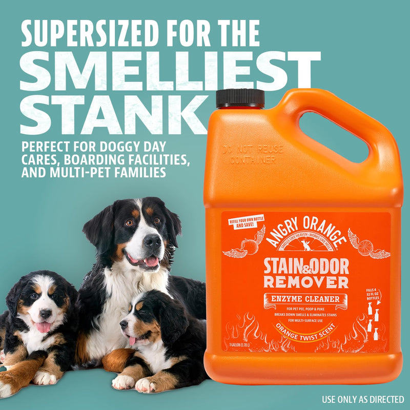 ANGRY ORANGE 1 Gallon Enzyme Cleaner, Citrus Pet Stain & Odor Remover for Dog and Cat Urine, Made in USA. - Mingle & Moa
