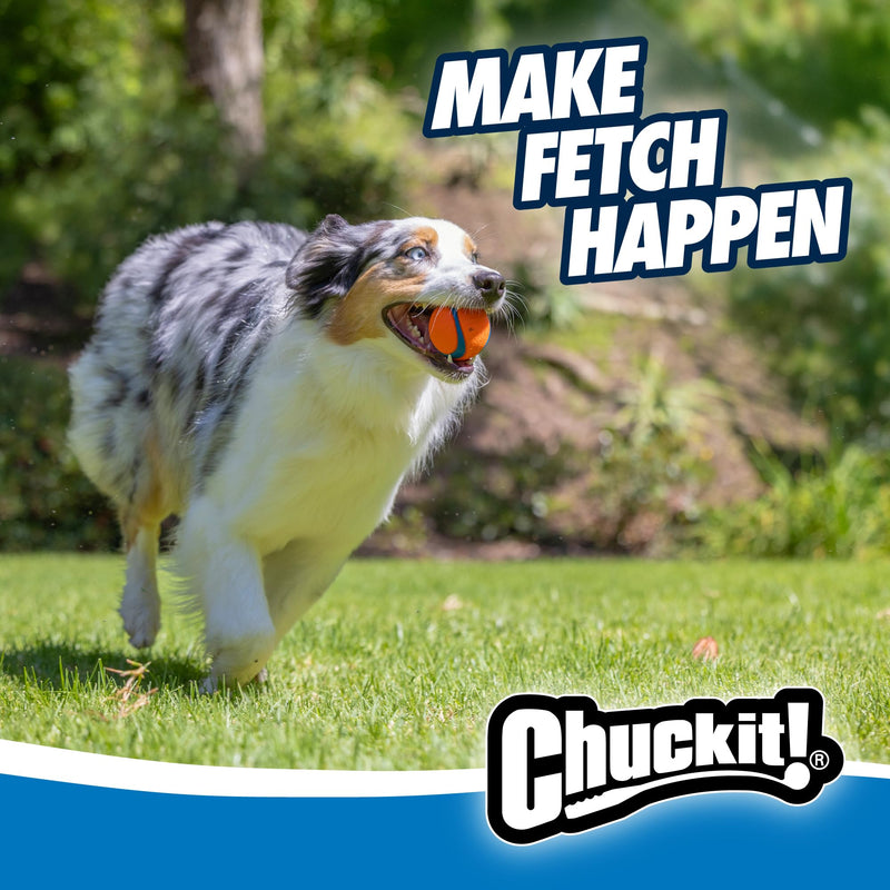 Chuckit! Ultra Ball Medium 2-Pack (2.5") - Mingle & Moa