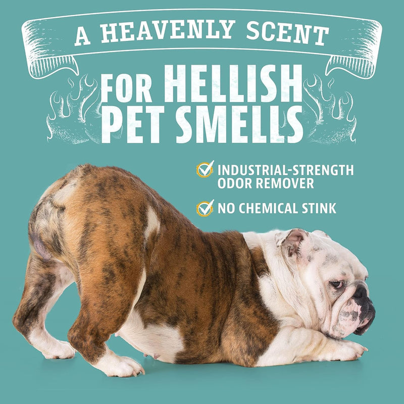 ANGRY ORANGE Pet Odor Eliminator, 24oz Citrus Cleaner with Natural Orange Oil for Pet Urine and Carpet Stains - Mingle & Moa