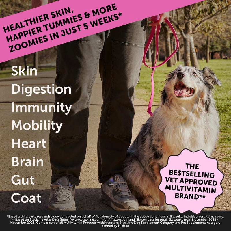 Dog Multivitamin Max Strength 15-in-1 with Fish Oil & Probiotics - Mingle & Moa