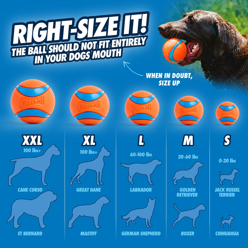 Chuckit! Ultra Ball Medium 4-Pack (2.5") - Mingle & Moa