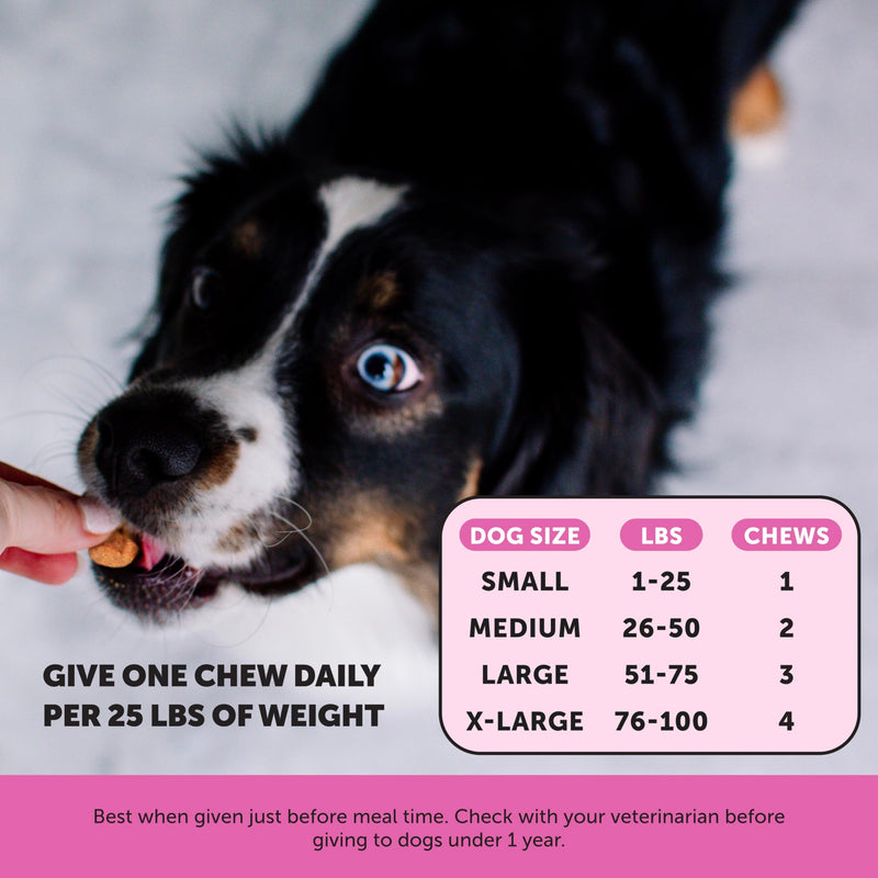 Senior Dog Multivitamin with Glucosamine & Omega (Duck, 90 ct) - Mingle & Moa