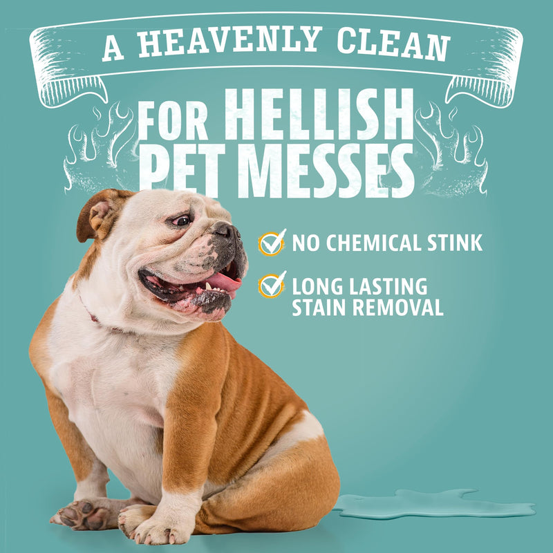 ANGRY ORANGE 1 Gallon Enzyme Cleaner, Citrus Pet Stain & Odor Remover for Dog and Cat Urine, Made in USA. - Mingle & Moa
