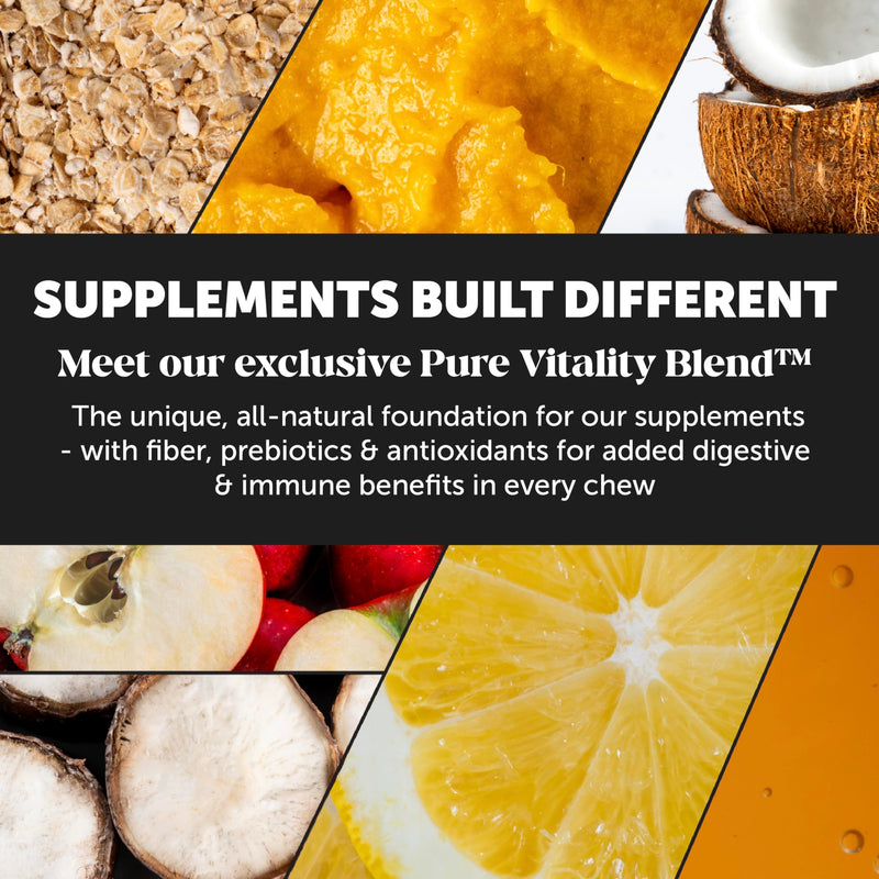 Multivitamin Dog Supplement with Glucosamine & Omega (Peanut Butter, 90 ct) - Mingle & Moa