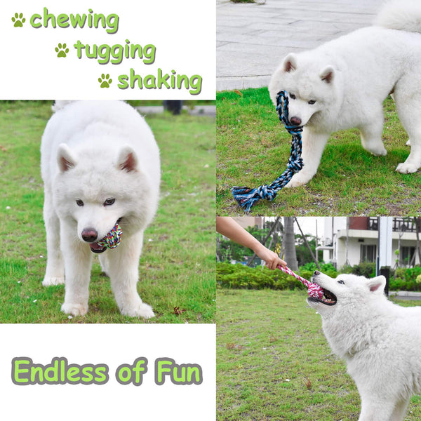 LECHONG Heavy Duty Rope Chew Toys – For Small, Medium & Large Dogs, Teething & Stress Relief - Mingle & Moa