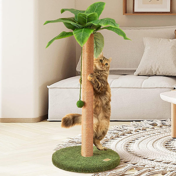 Meowoou 33-inch Green Palm Decor Cat Scratching Post - Mingle & Moa
