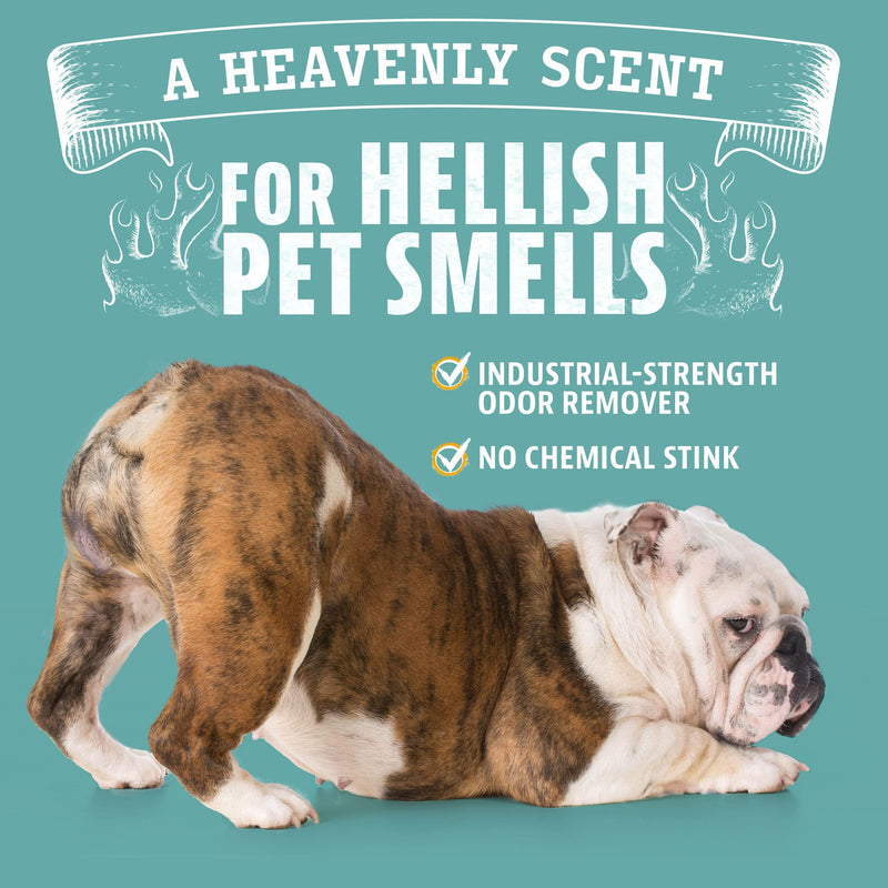 Angry Orange 8oz Citrus Concentrate Pet Odor Eliminator for Home, Removes Dog and Cat Pee Smell on Carpet, Grass, Tile, and Furniture – Makes 128oz. - Mingle & Moa