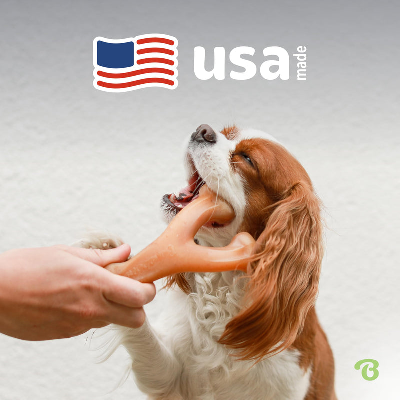 Benebone Wishbone Medium - Durable Dog Chew Toy with Real Bacon, Made in USA - Mingle & Moa