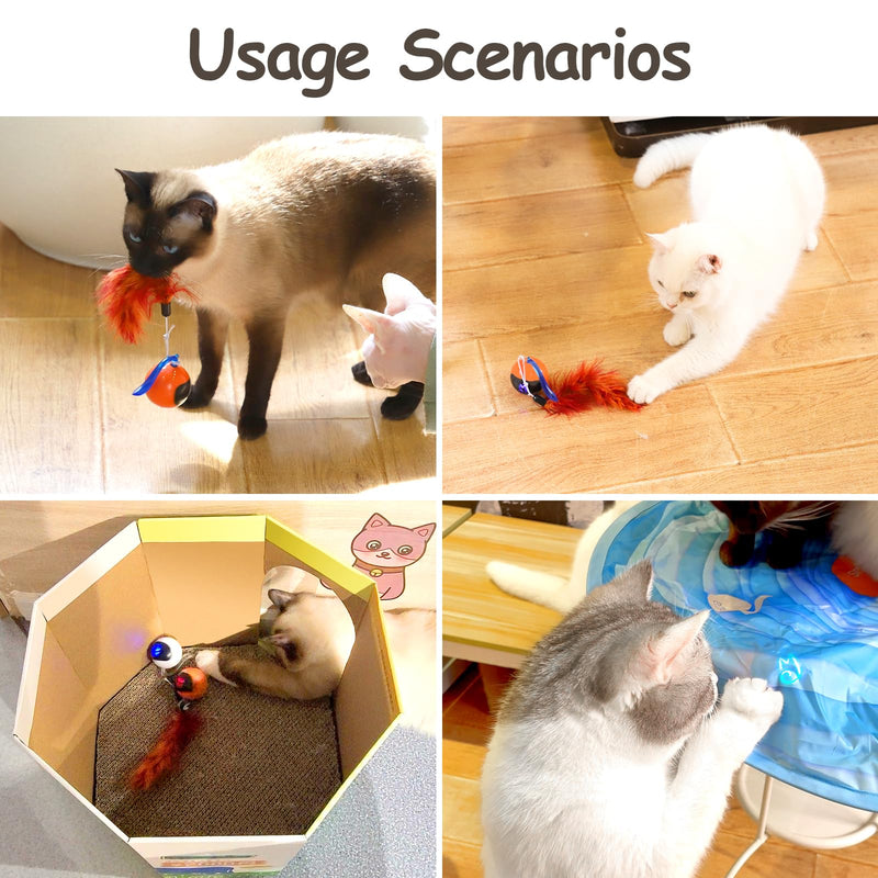 Migipaws Interactive Cat Toy Set (Orange) – Motion Activated Rolling Ball with Fluffy Tail & Mouse Accessories, Rechargeable, Fun Indoor Chase Toy for Cats - Mingle & Moa
