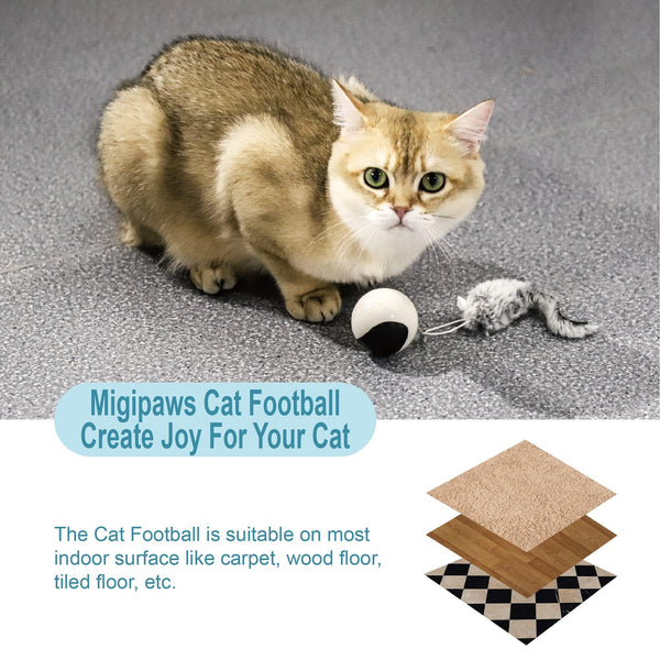 Migipaws Interactive Cat Toy Set (Orange) – Motion Activated Rolling Ball with Fluffy Tail & Mouse Accessories, Rechargeable, Fun Indoor Chase Toy for Cats - Mingle & Moa