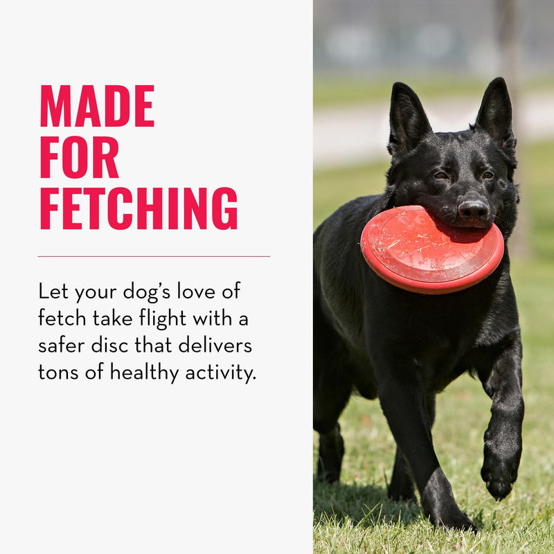 KONG Flyer Small – 2 Pack - Mingle & Moa