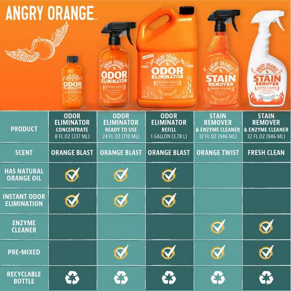 ANGRY ORANGE Pet Odor Eliminator, 24oz Citrus Cleaner with Natural Orange Oil for Pet Urine and Carpet Stains - Mingle & Moa