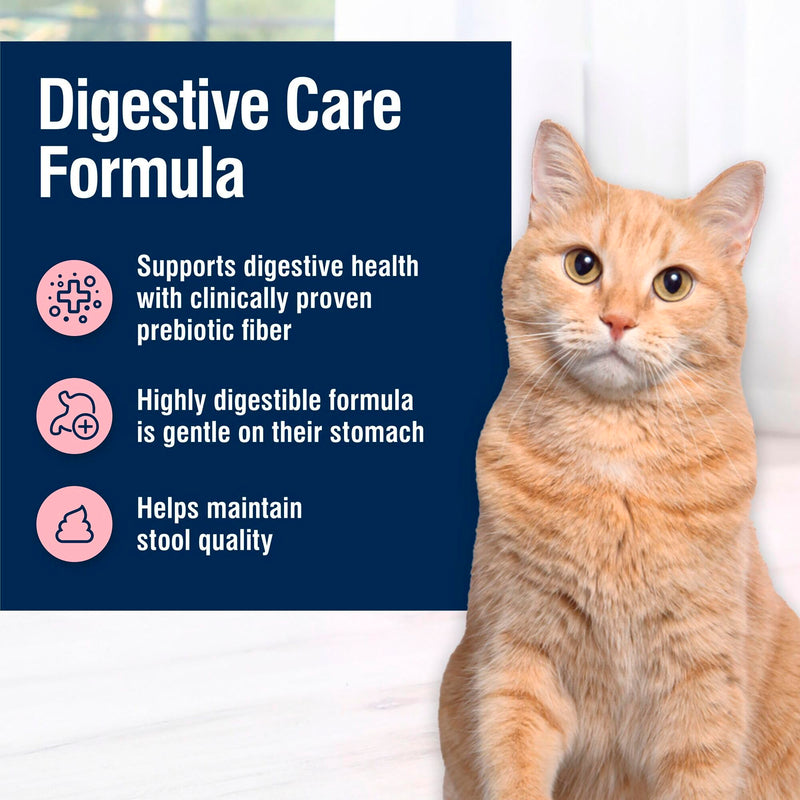 Blue Buffalo Digestive Care Dry Cat Food, Chicken, 11 lb - Mingle & Moa