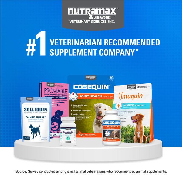 Nutramax Cosequin Max Strength – Joint Supplement for Dogs with Glucosamine, Chondroitin & MSM, 60 Chewable Tablets. - Mingle & Moa