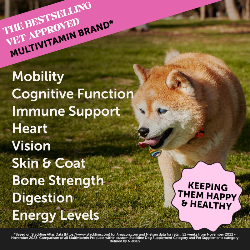Senior Dog Multivitamin with Glucosamine & Omega (Duck, 90 ct) - Mingle & Moa