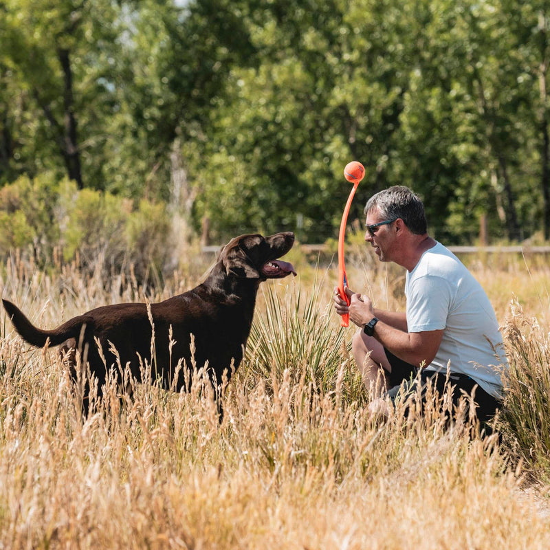 Chuckit! Sport 26L Dog Ball Launcher – Large Ball, 26" Thrower for 60–100 lb Dogs - Mingle & Moa