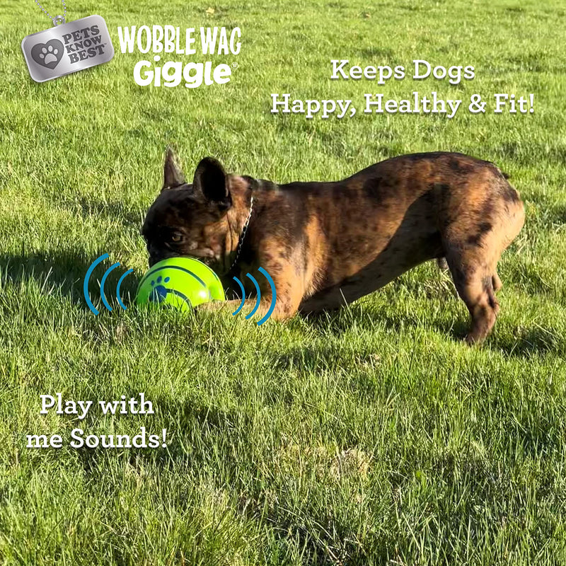 Wobble Wag Giggle Ball – 1 Pack - Mingle & Moa