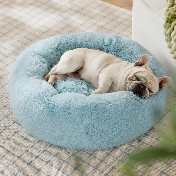 Bedsure Calming Donut Pet Bed - 30-inch Aqua Blue - Mingle & Moa