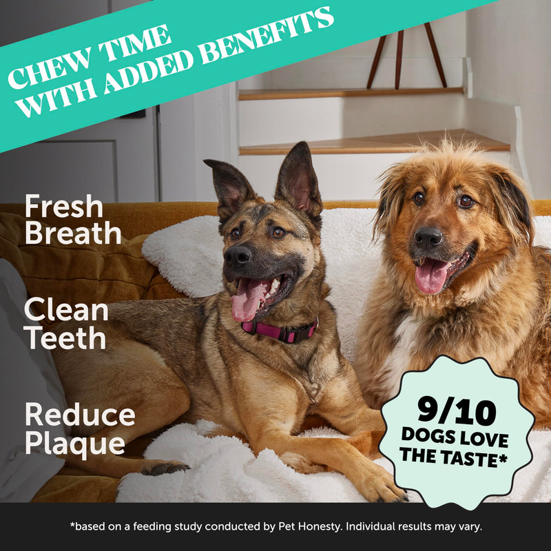 Dental Health Fresh Sticks for Dogs (16 Sticks) - Mingle & Moa
